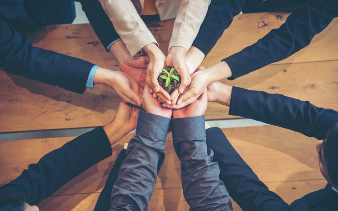 bras et mains de différentes personnes qui soutiennent l'éclosion d'une petite plante